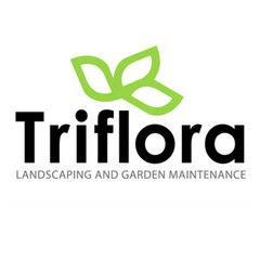 Triflora Landscaping