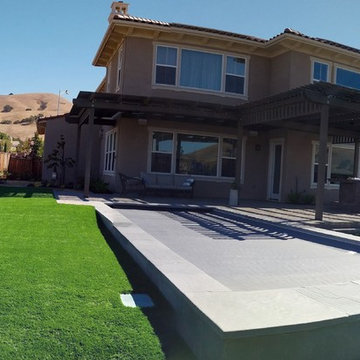 Gorgeous Backyard