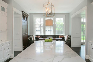 Kitchen - transitional kitchen idea in Chicago