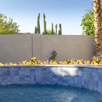 McCormick Ranch Pool & Landscape