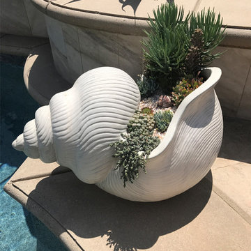 Succulent Arrangements