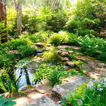 Backyard Koi Pond-James Island
