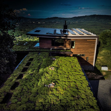 Piney Mountain Home
