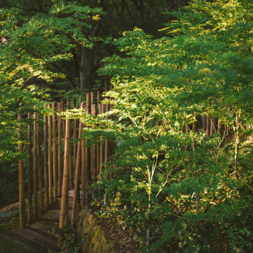 Cypress Ridge