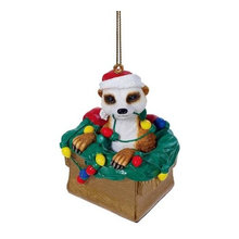 Wish List