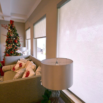 Hunter Douglas Roller Shades