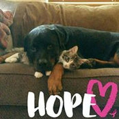 Kathy Murtha's photo
