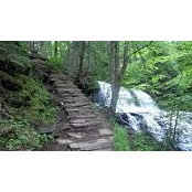 Cindy Weed's photo