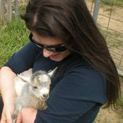 Amy Costanzo's photo