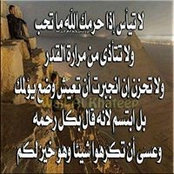 أبو رقية ابو عفين's photo