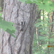 Deirdre Worden's photo