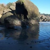 Dawn Larson's photo