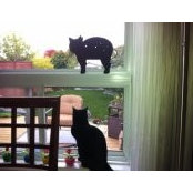 Photo de Kimberly Crupi