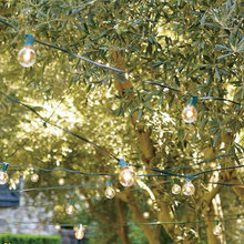 Patio lights