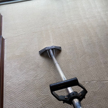 Lopez carpet cleaning