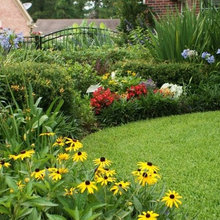 Landscape Ideas