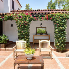 Bougainvillea