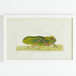 A Great Leap Forward Wall Art - Citron Locust - Artwork