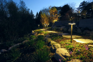 Inspiration for a mid-sized transitional side yard garden in Chicago with with path and natural stone pavers.