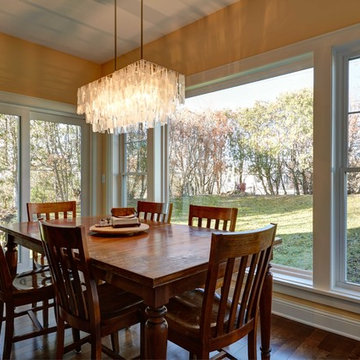 St. Paul Remodel - Vector Windows