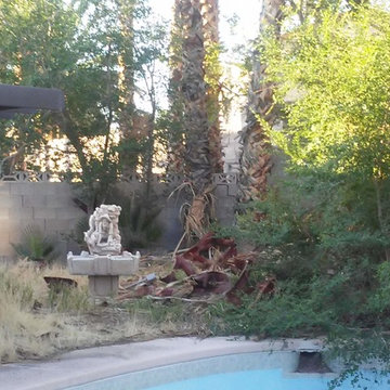 BACKYARD CLEANUP