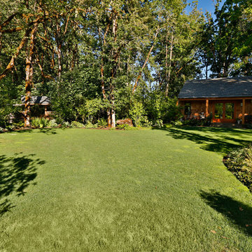 Landscape and Maintenance