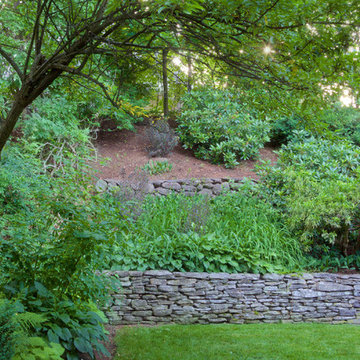 Terraced Backyard
