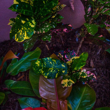 Secluded Tropical Courtyard