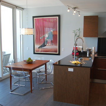 Midcentury Modern Condo St. Petersburg FL