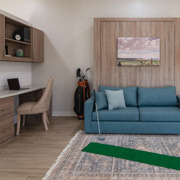 SOFA AND MURPHY BED