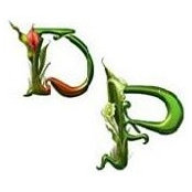 Dennis Palmaira's photo