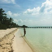 Robert Radulescu's photo