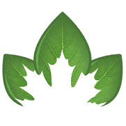 Foto de Dri-Way Carpet & Upholstery Care