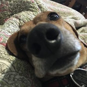 hedman araujo's photo