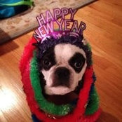 Barbara Kowack-Murthy's photo