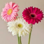 Melissa Cooper's photo