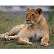 Kelly Forester's photo