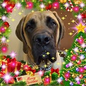 Kim Beyer's photo
