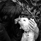 Vicki Taylor's photo
