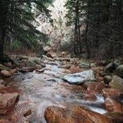 Carrie Warner's photo