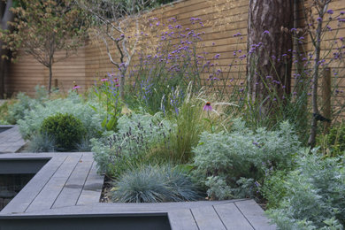 Diseño de jardín de secano mediterráneo pequeño en patio trasero con macetero elevado, exposición total al sol y con madera