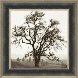 Blaustein Black and white trees - Products