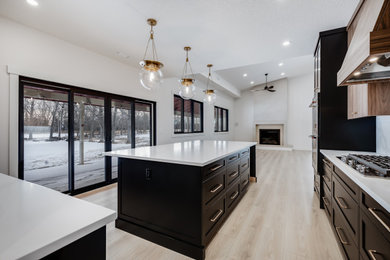 Kitchen - contemporary kitchen idea in Calgary