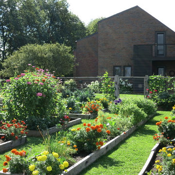 Vegetable garden 2nd year