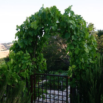 FOOTHILL VEGETABLE GARDEN