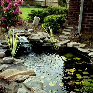 Ponds and Streams