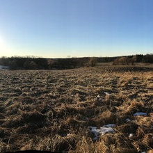 site