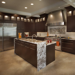 Vienna, VA - Modern - Kitchen - Kitchen Cabinetry