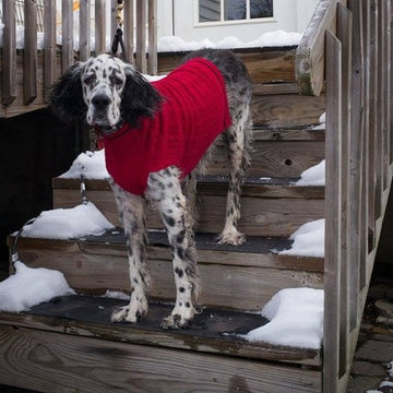 Jacqueline and her dog Conner fight the snow