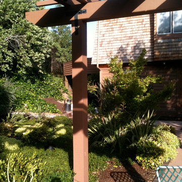 San Rafael Hillside renovation